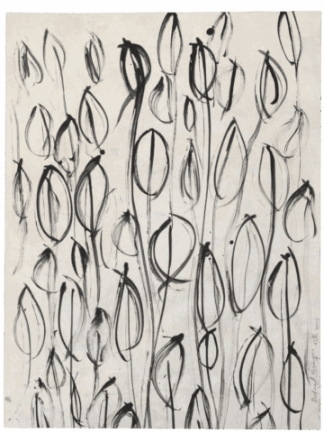 Disegno in bianco e nero su carta chiara interamente coperto da una fitta trama di steli sottili che terminano in forme ovoidali vuote, tracciate con pennellate gestuali e sovrapposte.