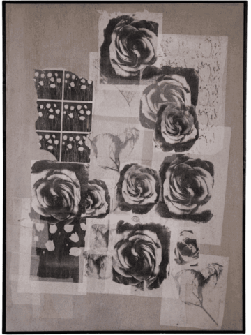Collage in bianco e nero con molteplici stampe di rose aperte e motivi floreali ripetuti, sovrapposti a fogli semi-trasparenti su fondo neutro.