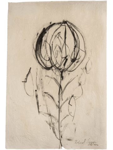 Disegno a inchiostro nero su grande foglio chiaro spiegazzato che raffigura, con linee circolari e sinuose, una forma simile a un grande fiore o una pianta stilizzata con stelo e foglie.
