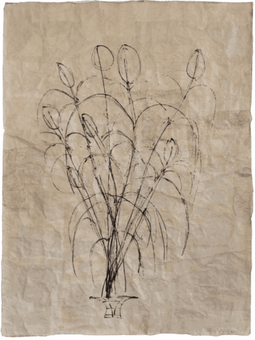 Disegno lineare su carta chiara che rappresenta un vaso stilizzato da cui si alzano lunghi steli arcuati, terminanti in forme ovali vuote simili a boccioli o vulve stilizzate.