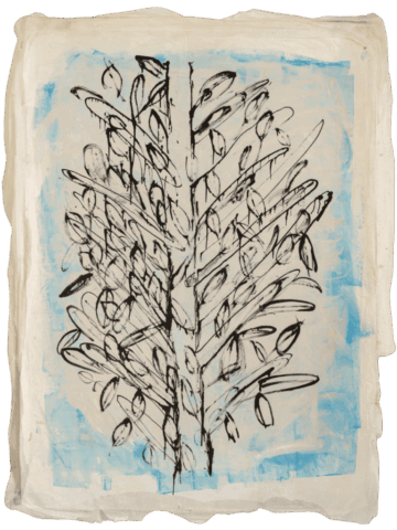 Disegno su carta chiara con un grande albero stilizzato nero, fitto di foglie ovoidali, tracciato su un fondo rettangolare azzurro che emerge da una cornice bianca materica.