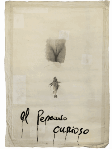 Ampio foglio chiaro con, al centro, una vulva realistica stilizzata in grigio, sotto la quale è stampato un piccolo pesce verticale, e in basso la scritta nera “El pescado curioso” con lunghe colature.