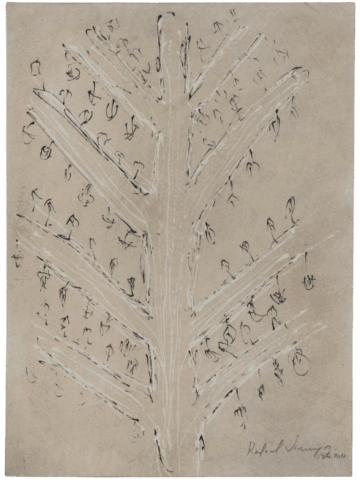 Disegno su carta beige di un grande albero stilizzato visto frontalmente, con tronco centrale chiaro e rami orizzontali che si aprono a ventaglio, cosparsi da piccole forme nere simili a frutti o vulve pendenti.
