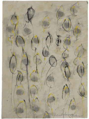 Disegno astratto su fondo grigio-beige con una fitta trama di forme ovoidali allungate, contornate da linee nere leggere e velature gialle e grigie, disposte in colonne verticali come un campo di boccioli.